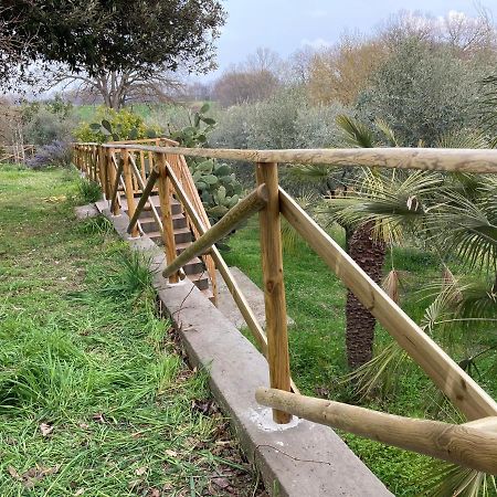 Casa Calicanto Corropoli エクステリア 写真