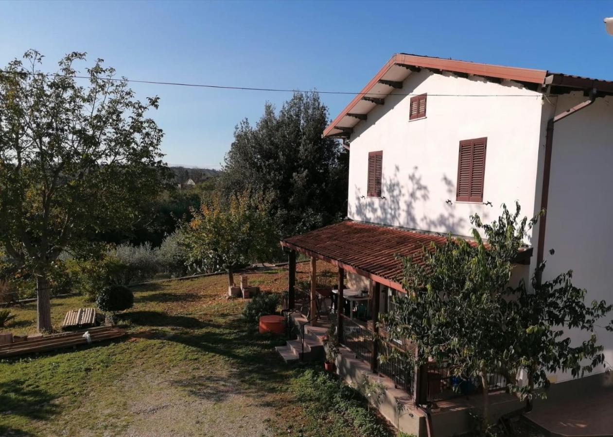 Casa Calicanto Corropoli エクステリア 写真